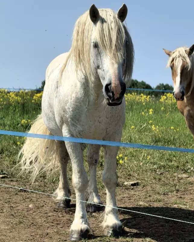 Tapтaлeтки & Ко
