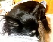 Что происходит с Ozon?