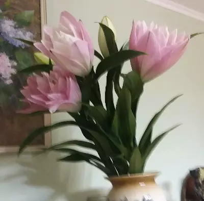 Чайная беседка