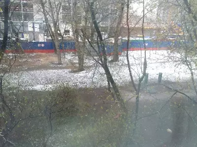 Чайная беседка