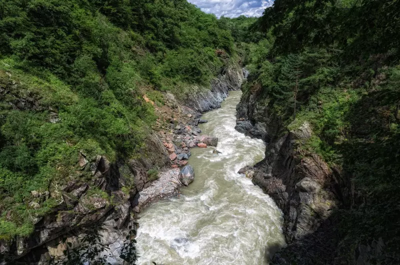 "Лучше гор могут быть только горы…"