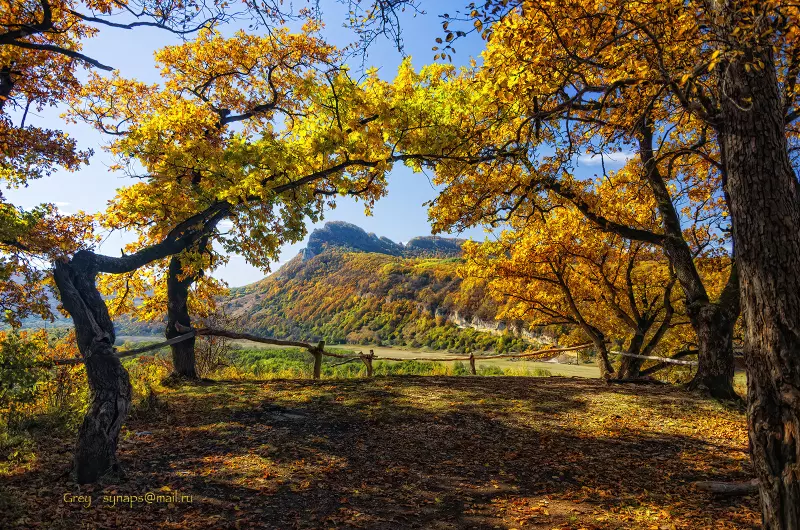 "Лучше гор могут быть только горы…"
