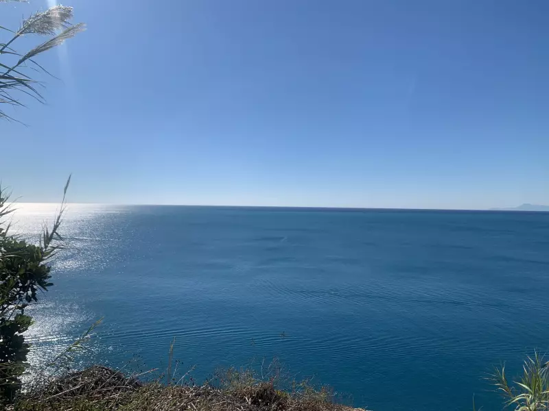 Tapтaлeтки & Ко