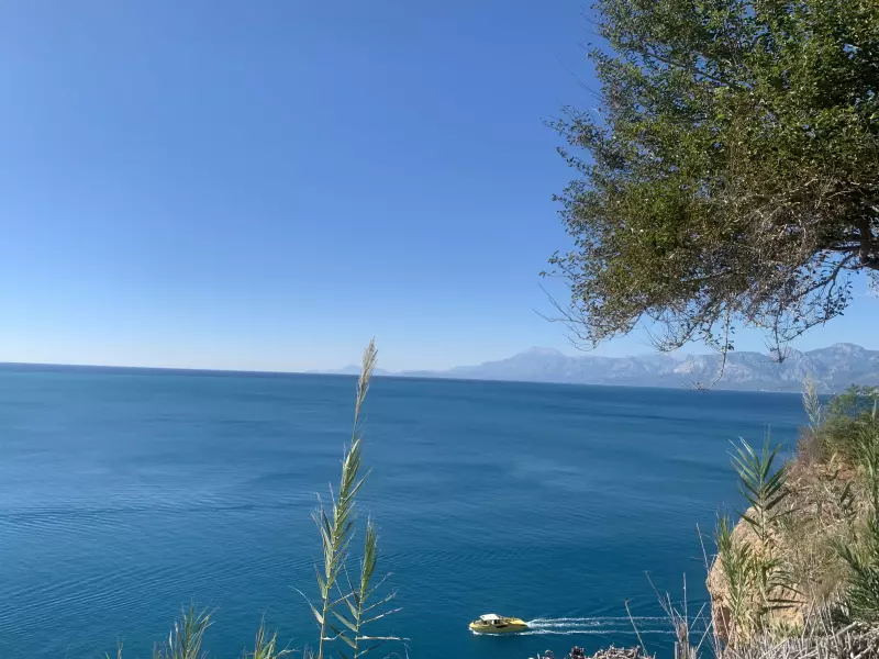 Tapтaлeтки & Ко