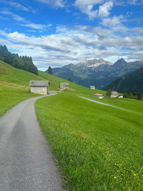 Tapтaлeтки & Ко