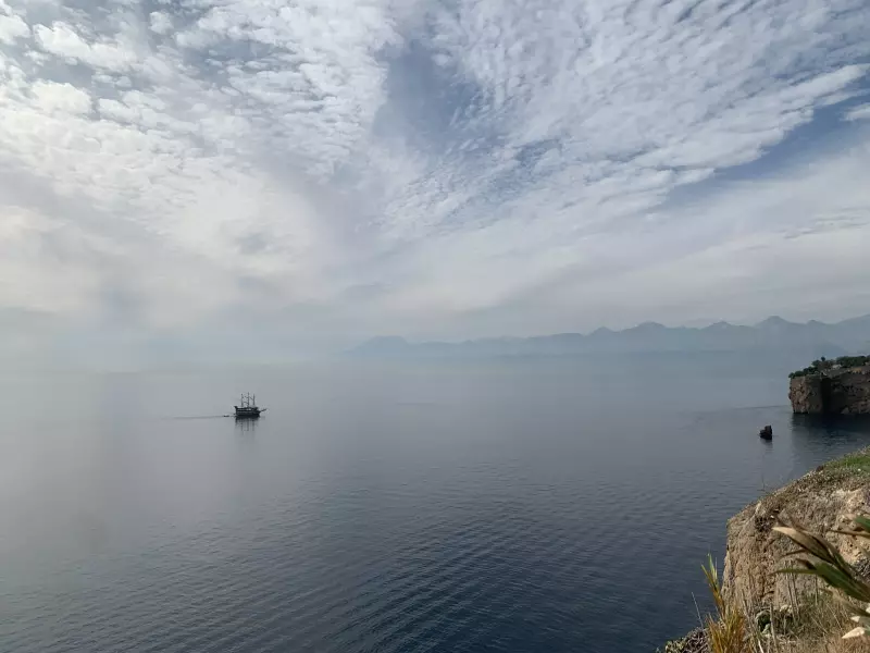 Tapтaлeтки & Ко