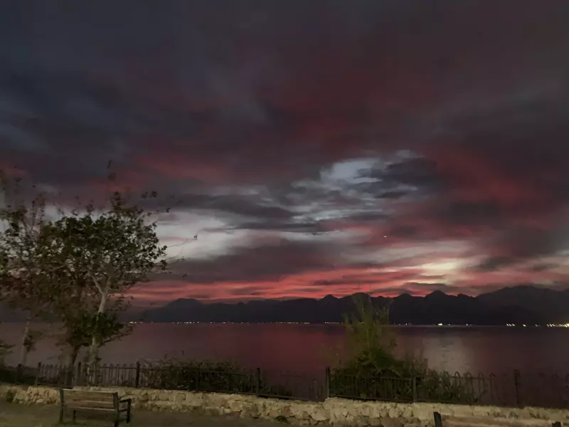 Tapтaлeтки & Ко