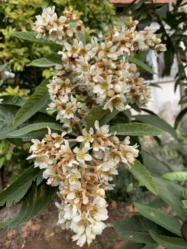 Tapтaлeтки & Ко