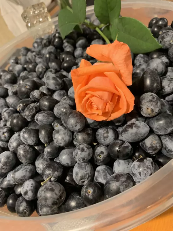 Tapтaлeтки & Ко