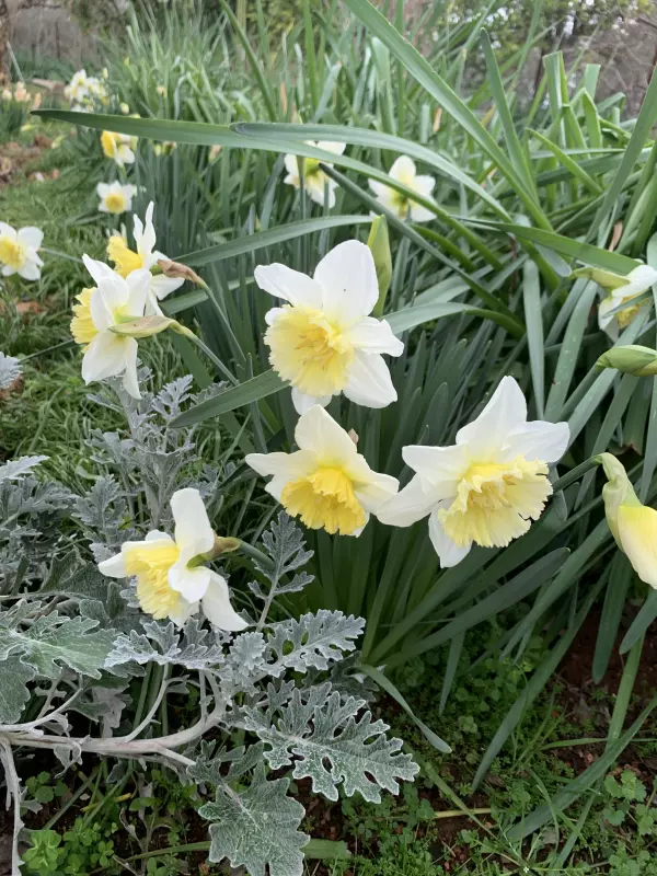 Tapтaлeтки & Ко