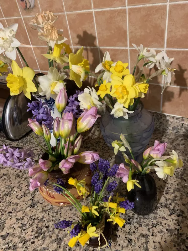 Tapтaлeтки & Ко