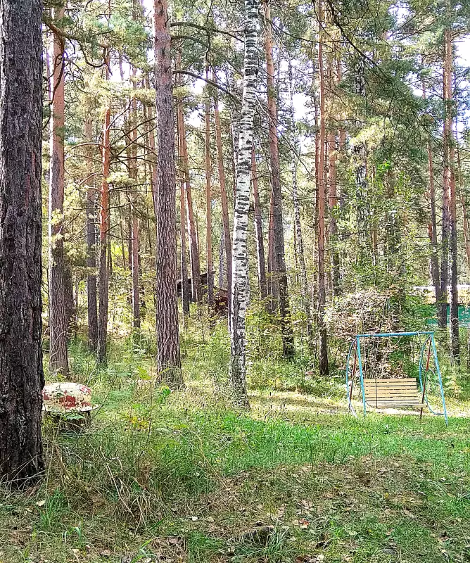 Чайная беседка