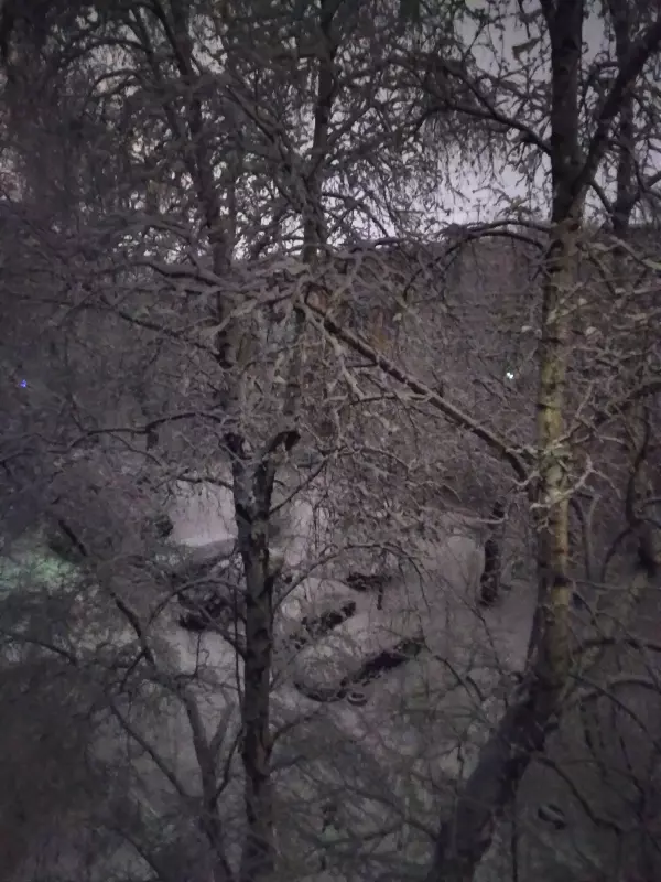 Чайная беседка