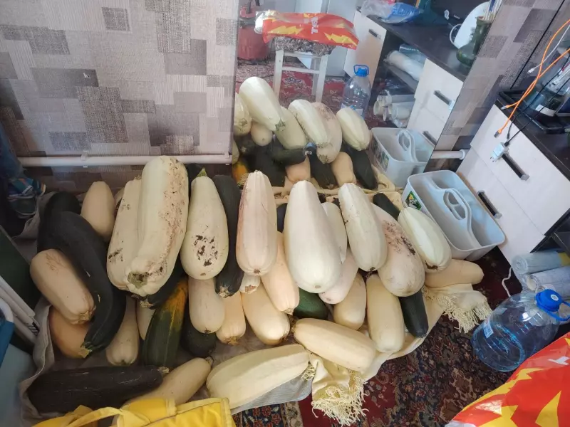 Чайная беседка