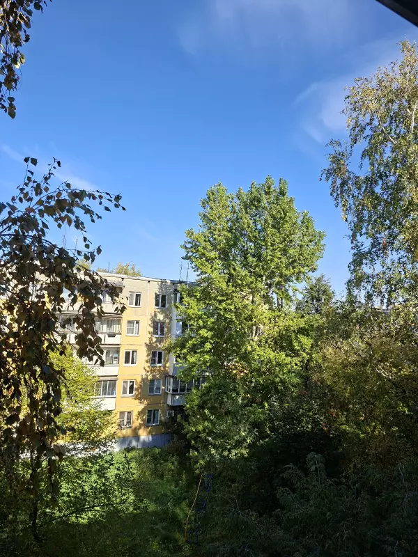 Чайная беседка