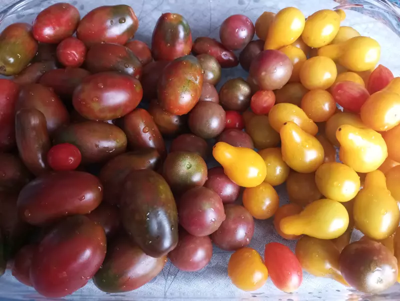 Что Вы сейчас едите? Фотоблог с вашего стола