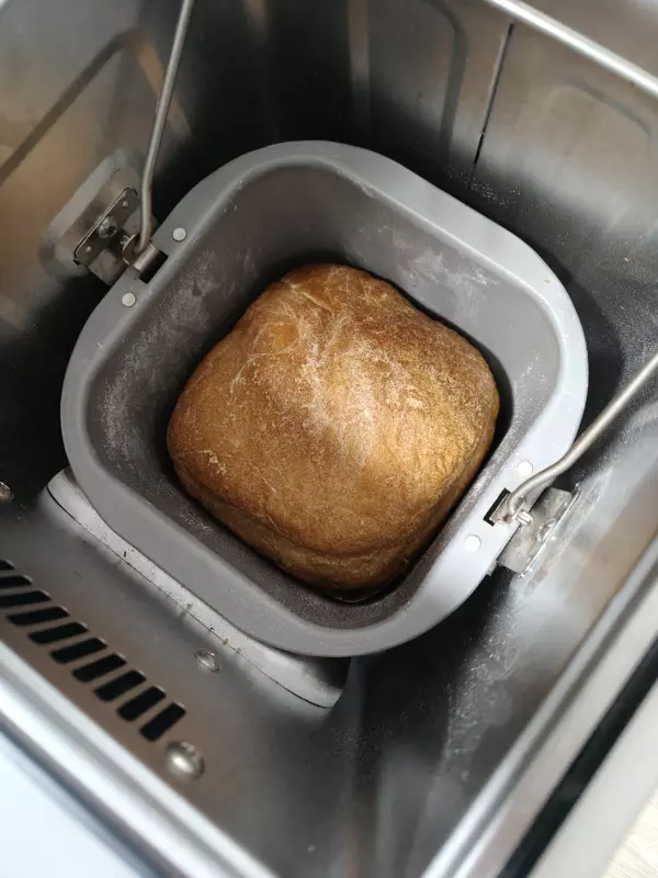 Выпечка в Hitachi HB-E303 