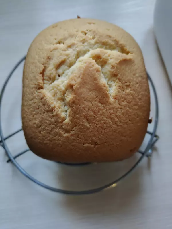 Хлебопечка Panasonic SD-SSM100 с паровым выпеканием