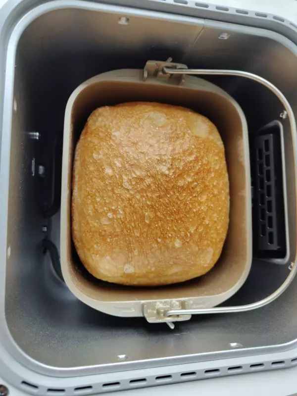 Хлебопечка Panasonic SD-SSM100 с паровым выпеканием