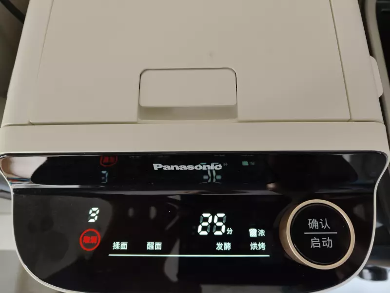 Хлебопечка Panasonic SD-SSM100 с паровым выпеканием