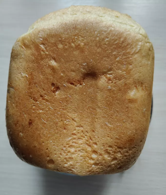 Хлебопечка Panasonic SD-SSM100 с паровым выпеканием