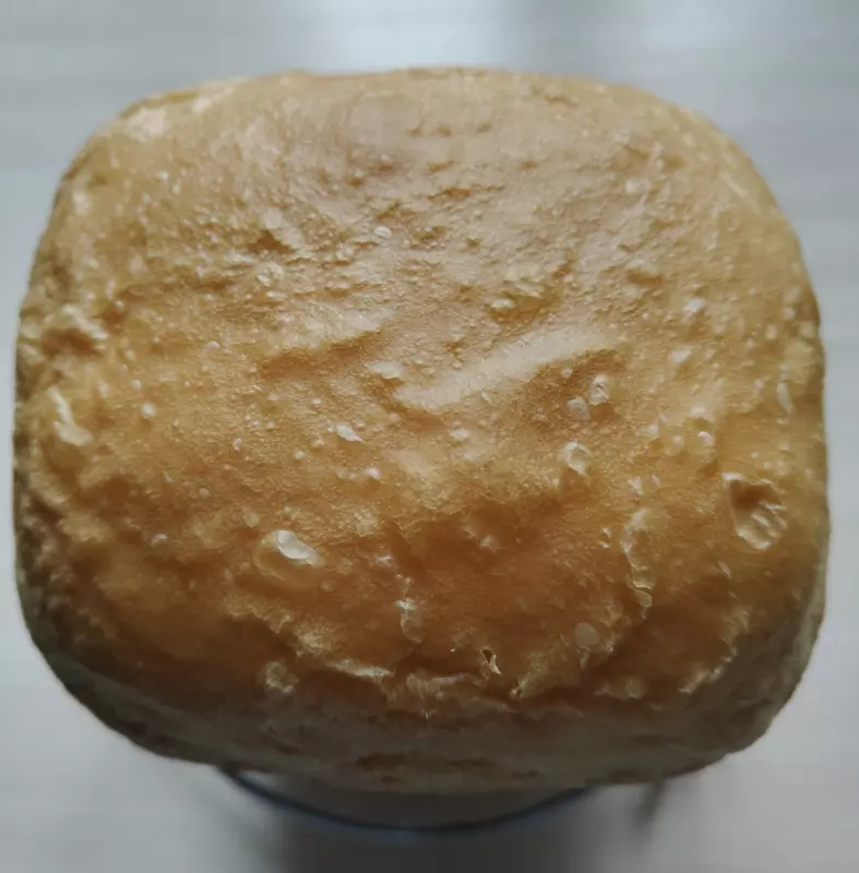 Хлебопечка Panasonic SD-SSM100 с паровым выпеканием