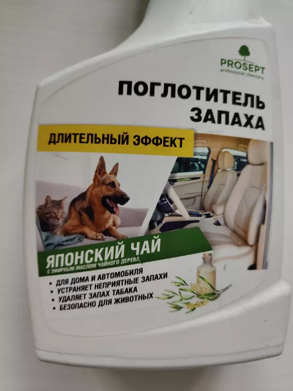 Глупые вопросы