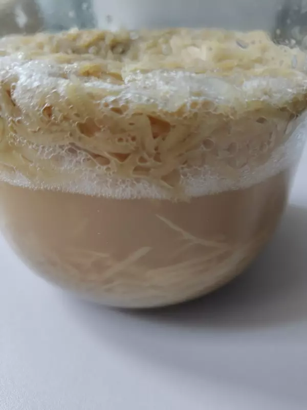 "Вечные дрожжи", картофельно-хмелевые  (Закваска без муки). Рецепты выпечки.