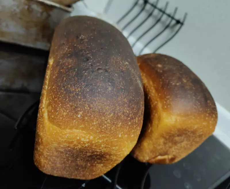 "Вечные дрожжи", картофельно-хмелевые  (Закваска без муки). Рецепты выпечки.