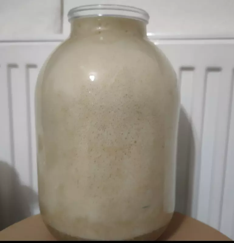 "Вечные дрожжи", картофельно-хмелевые  (Закваска без муки). Рецепты выпечки.
