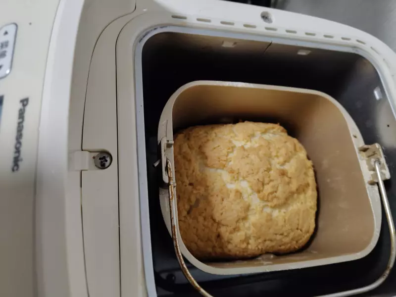 Мини-хлебопечка Panasonic SD PN100