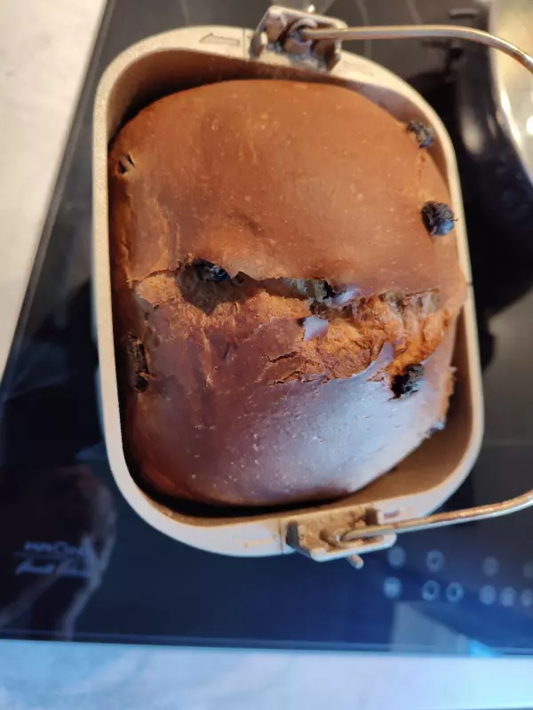 Мини-хлебопечка Panasonic SD PN100