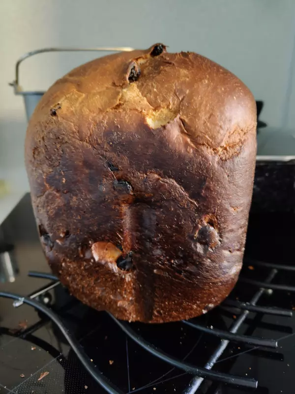 Мини-хлебопечка Panasonic SD PN100