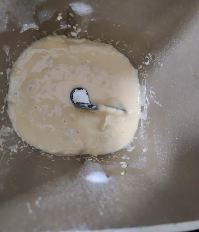 Мини-хлебопечка Panasonic SD PN100