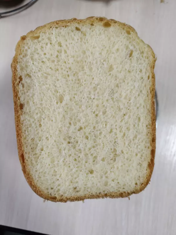 Хлебопечка Panasonic SD-SSM100 с паровым выпеканием