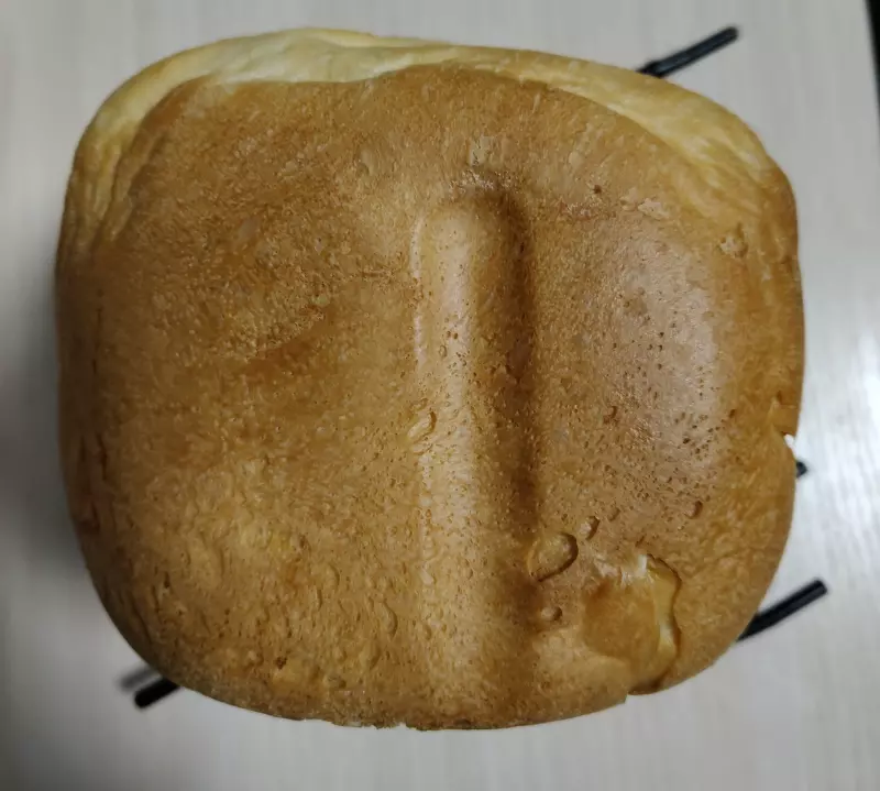 Хлебопечка Panasonic SD-SSM100 с паровым выпеканием