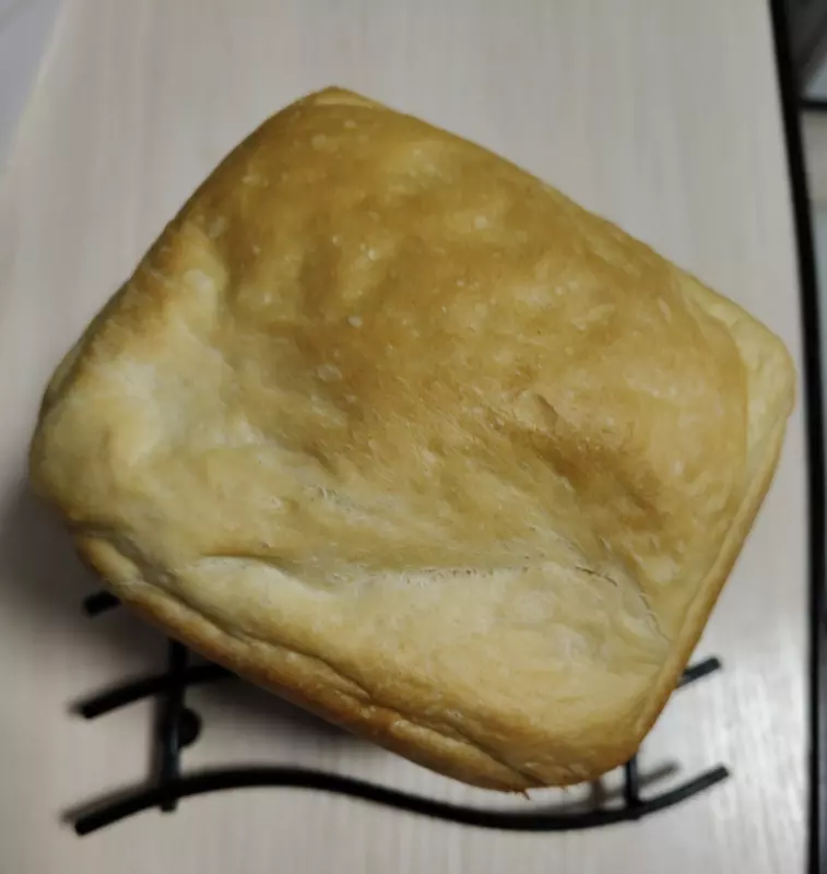 Хлебопечка Panasonic SD-SSM100 с паровым выпеканием