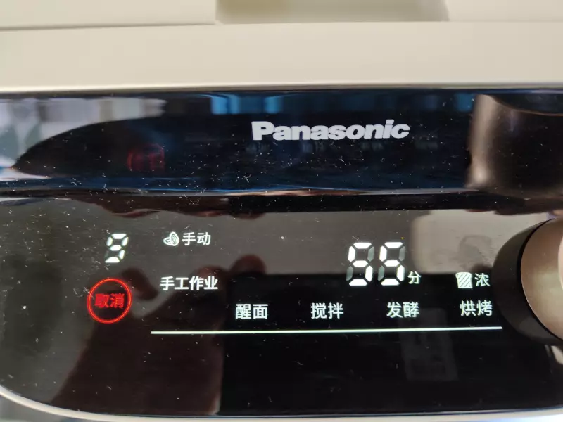 Хлебопечка Panasonic SD-SSM100 с паровым выпеканием