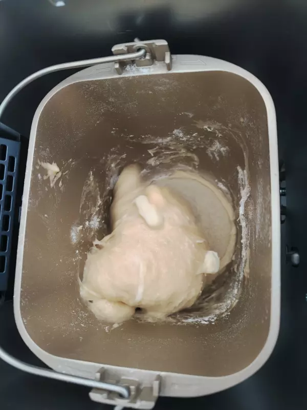 Хлебопечка Panasonic SD-SSM100 с паровым выпеканием