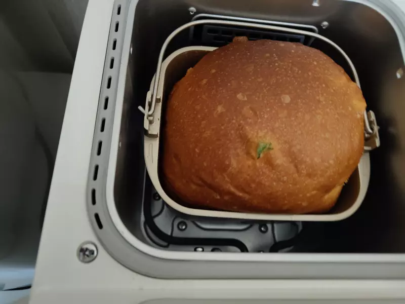 Хлебопечка Panasonic SD-SSM100 с паровым выпеканием