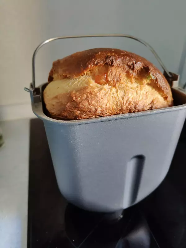 Хлебопечка Panasonic SD-SSM100 с паровым выпеканием