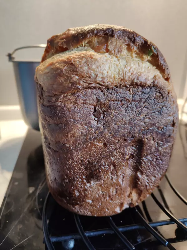 Хлебопечка Panasonic SD-SSM100 с паровым выпеканием