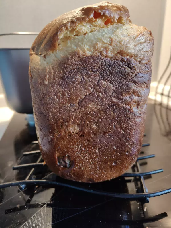 Хлебопечка Panasonic SD-SSM100 с паровым выпеканием