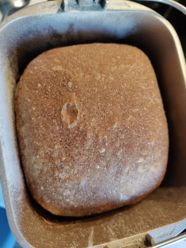 Хлебопечка Panasonic SD-SSM100 с паровым выпеканием