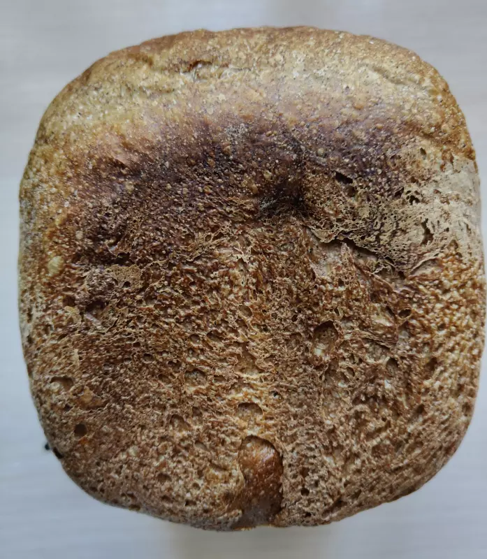 Хлебопечка Panasonic SD-SSM100 с паровым выпеканием