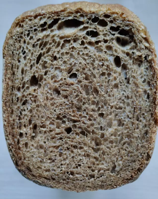 Хлебопечка Panasonic SD-SSM100 с паровым выпеканием