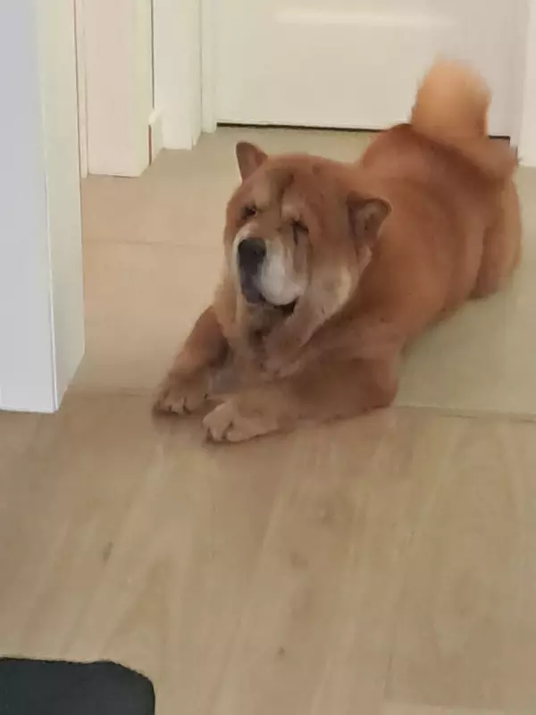 Вышивка крестиком