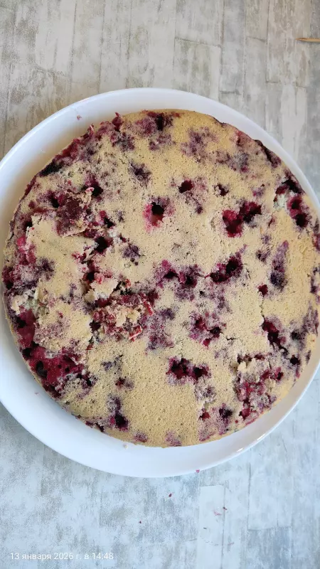 Пиццамейкеры: Princess 115000-01, Tristar, GF, Travola, Clatroniс и др. (2)