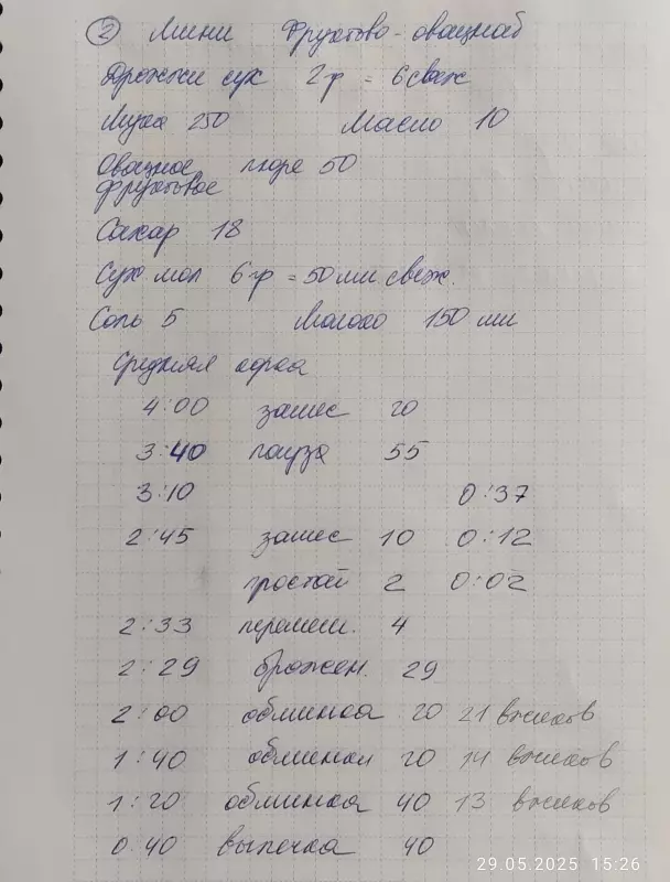 Мини-хлебопечка Panasonic SD PN100
