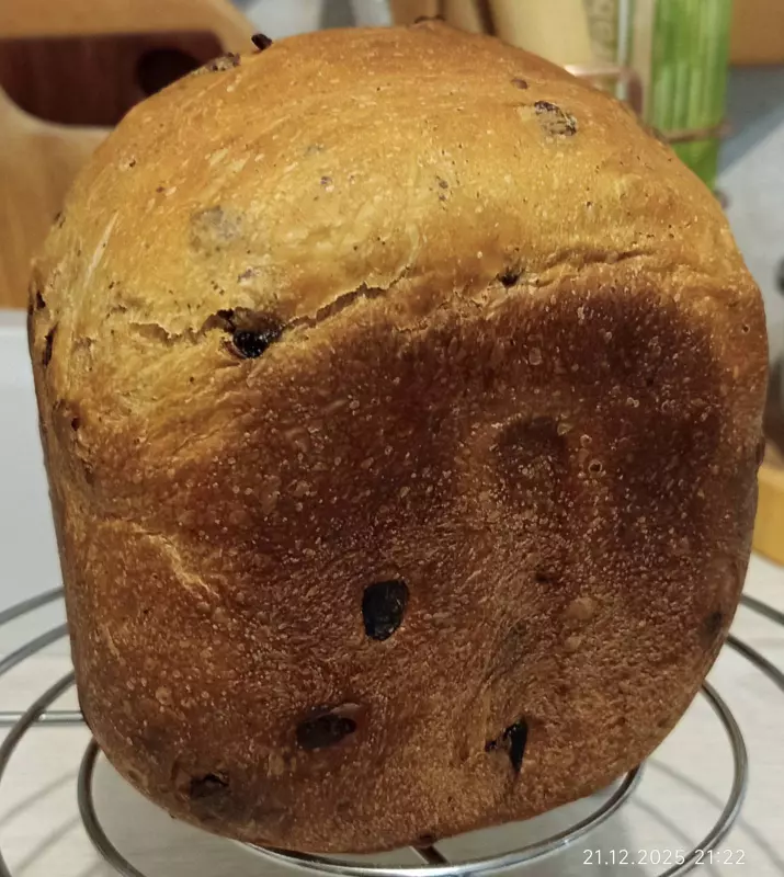 Мини-хлебопечка Panasonic SD PN100